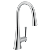 Kurv One-handle High Arc Pulldown Kitchen Faucet