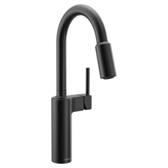 Inara One-handle High Arc Pulldown Kitchen Faucet