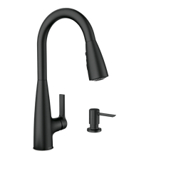 Haelyn One-Handle High Arc Pulldown Kitchen Faucet