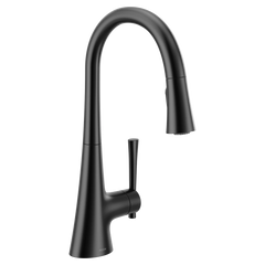 Kurv One-handle High Arc Pulldown Kitchen Faucet