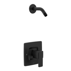 Iver Chrome Posi-Temp(R) shower only