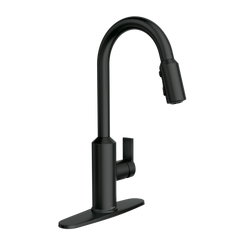 Meena One-Handle High Arc Pulldown Kitchen Faucet