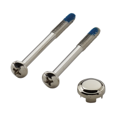 Moen Polished brass Handle Cap and Screw